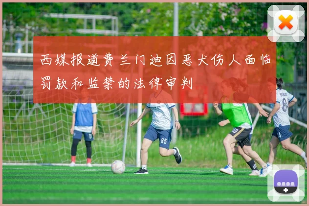 西媒报道费兰门迪因恶犬伤人面临罚款和监禁的法律审判